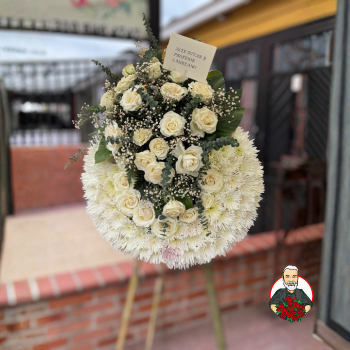 Corona F&uacute;nebre con Margaritas y Rosas