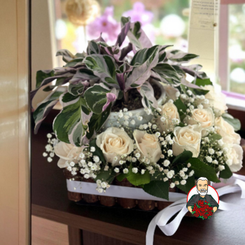 Arreglo F&uacute;nebre con Rosas y Planta Calatea