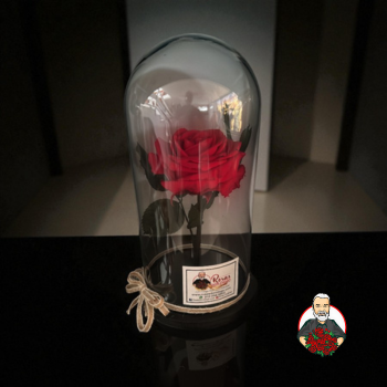 Rosa Eterna Roja en C&uacute;pula de Cristal